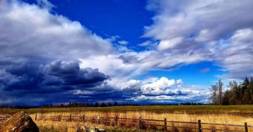 stormy_plains____by_goldenfox444_de1ctah-pre